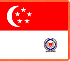 [Army 'State Colour' (Singapore)]